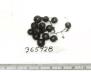 Click for 1 image(s) for this accession. FRUIT